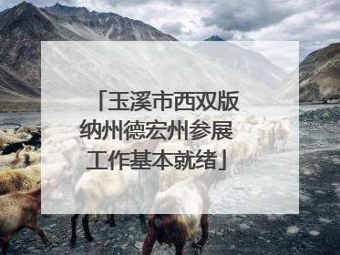 玉溪市西双版纳州德宏州参展工作基本就绪