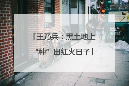 王乃兵：黑土地上“种”出红火日子