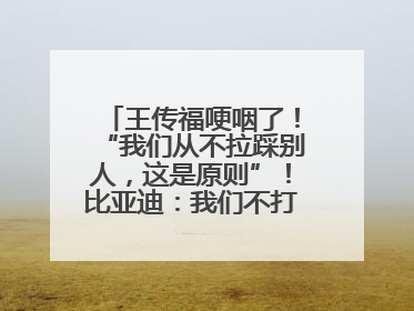 王传福哽咽了！“我们从不拉踩别人，这是原则”！比亚迪：我们不打价格战