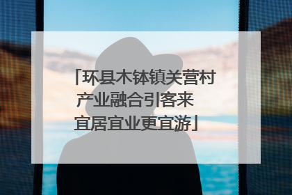 环县木钵镇关营村 产业融合引客来 宜居宜业更宜游