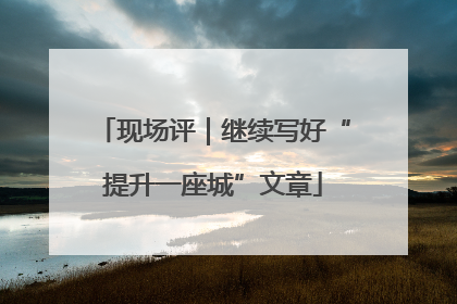 现场评｜继续写好“提升一座城”文章