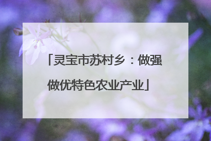 灵宝市苏村乡：做强做优特色农业产业