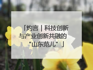 灼言｜科技创新与产业创新共融的“山东范儿”