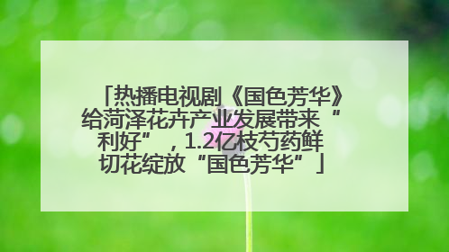 热播电视剧《国色芳华》给菏泽花卉产业发展带来“利好”，1.2亿枝芍药鲜切花绽放“国色芳华”