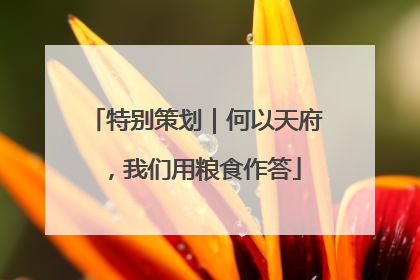 特别策划｜何以天府，我们用粮食作答