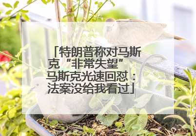 特朗普称对马斯克“非常失望” 马斯克光速回怼：法案没给我看过