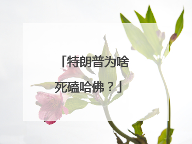 特朗普为啥死磕哈佛？