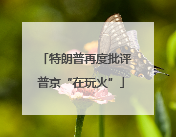 特朗普再度批评普京“在玩火”