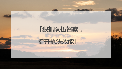狠抓队伍督察，提升执法效能