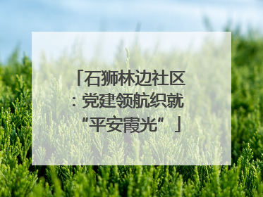 石狮林边社区：党建领航织就“平安霞光”