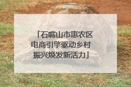 石嘴山市惠农区电商引擎驱动乡村振兴焕发新活力