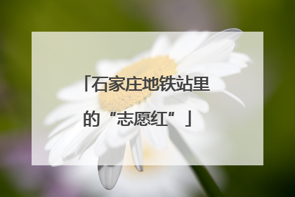 石家庄地铁站里的“志愿红”