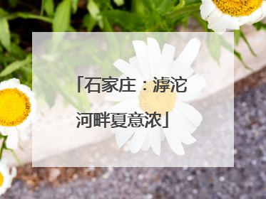 石家庄：滹沱河畔夏意浓