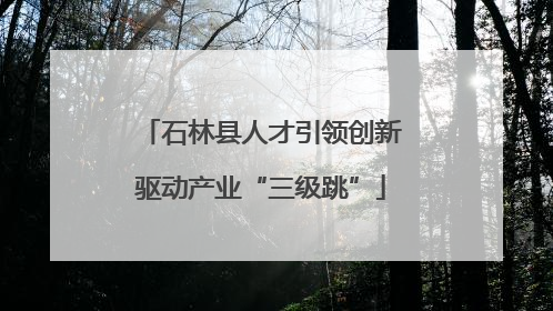 石林县人才引领创新驱动产业“三级跳”