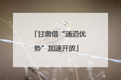 甘肃借“通道优势”加速开放