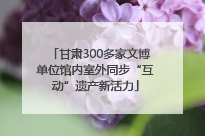 甘肃300多家文博单位馆内室外同步“互动”遗产新活力
