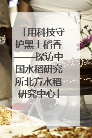 用科技守护黑土稻香——探访中国水稻研究所北方水稻研究中心
