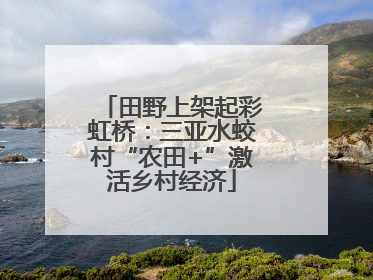 田野上架起彩虹桥：三亚水蛟村“农田+”激活乡村经济