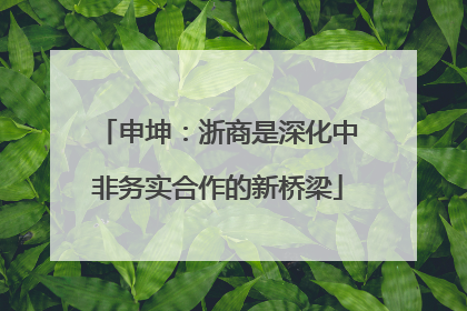 申坤：浙商是深化中非务实合作的新桥梁