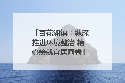 百花湖镇：纵深推进环境整治 精心绘就宜居画卷