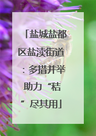 盐城盐都区盐渎街道：多措并举 助力“秸”尽其用