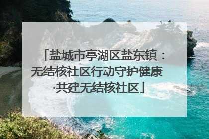 盐城市亭湖区盐东镇：无结核社区行动守护健康 ·共建无结核社区