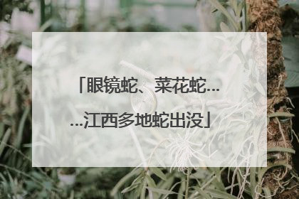 眼镜蛇、菜花蛇……江西多地蛇出没