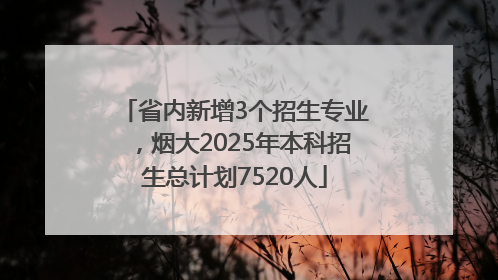 省内新增3个招生专业，烟大2025年本科招生总计划7520人