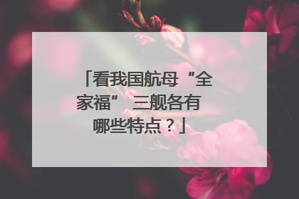 看我国航母“全家福” 三舰各有哪些特点？