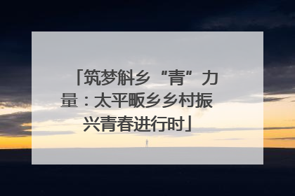 筑梦斛乡“青”力量：太平畈乡乡村振兴青春进行时