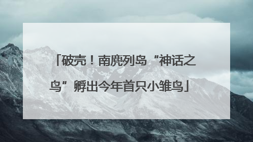 破壳！南麂列岛“神话之鸟”孵出今年首只小雏鸟