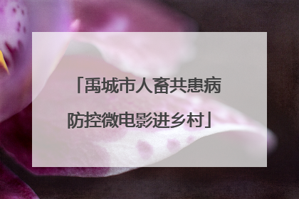 禹城市人畜共患病防控微电影进乡村