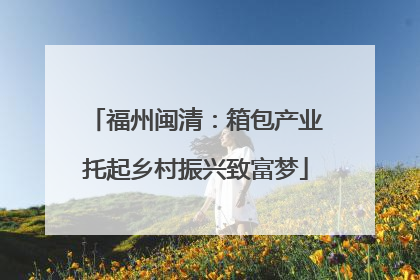 福州闽清：箱包产业托起乡村振兴致富梦