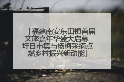 福建南安东田镇首届文旅嘉年华盛大启幕 圩日市集与杨梅采摘点燃乡村振兴新动能