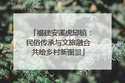 福建安溪虎邱镇：民俗传承与文旅融合共绘乡村新图景