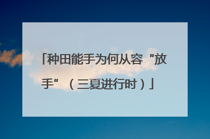 种田能手为何从容“放手”（三夏进行时）