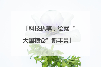 科技执笔，绘就“大国粮仓”新丰景