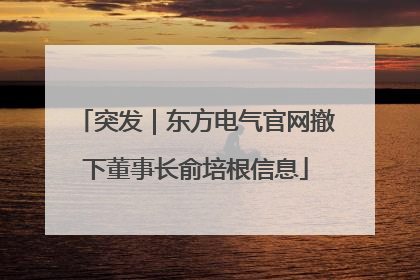 突发｜东方电气官网撤下董事长俞培根信息