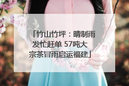 竹山竹坪：晴制雨发忙赶单 57吨大宗茶冒雨启运福建