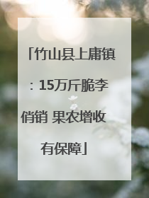 竹山县上庸镇：15万斤脆李俏销 果农增收有保障