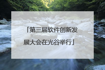 第三届软件创新发展大会在光谷举行