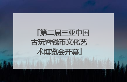 第二届三亚中国古玩暨钱币文化艺术博览会开幕