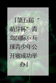 第五届“萌芽杯”青岛国际乒乓球青少年公开赛成功举办