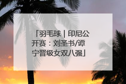 羽毛球｜印尼公开赛：刘圣书/谭宁晋级女双八强