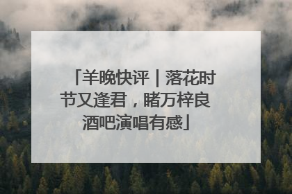 羊晚快评｜落花时节又逢君，睹万梓良酒吧演唱有感