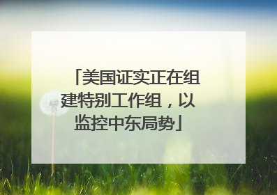 美国证实正在组建特别工作组，以监控中东局势