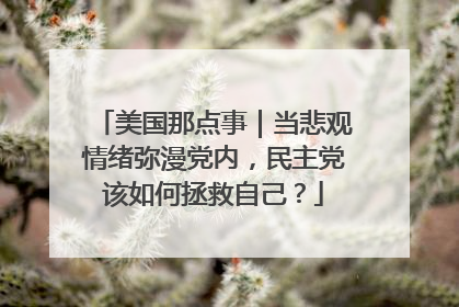 美国那点事｜当悲观情绪弥漫党内，民主党该如何拯救自己？