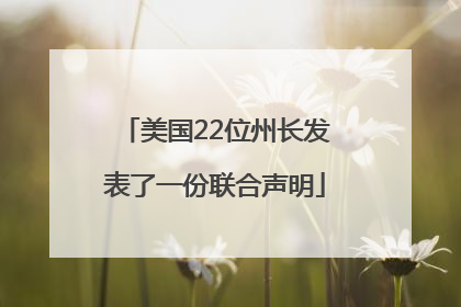 美国22位州长发表了一份联合声明