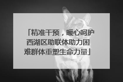 精准干预，暖心呵护 西湖区助联体助力困难群体重塑生命力量