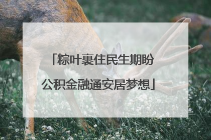 粽叶裹住民生期盼 公积金融通安居梦想